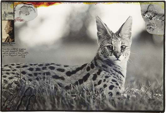 PETER BEARD Tsavo Natl. Park 1970s/ For the End of: Tsavo Natl. Park 1970s/ For the End of the Game/ Last word from Paradise, 1970s Gelatin silver print with affixed gelatin silver prints and ink, printed later. 13 x 19 1/4 in. (33 x 48.9 cm). Signed,