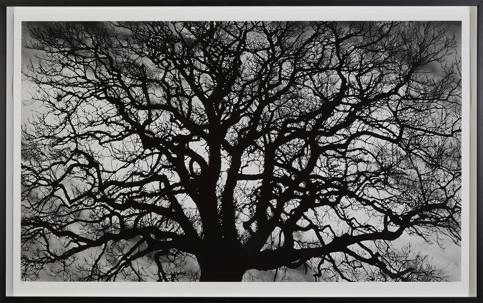 Robert Longo: Untitled (Tree) 2018 Archival pigment print, on wove paper, with full margins. I. 34 1/4 x 58 in. (87 x 147.3 cm) S. 36 1/4 x 59 3/4 in. (92.1 x 151.8 cm) Signed and numbered 12/25 in pencil (there we