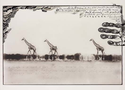 PETER BEARD, Giraffes in Mirage on the Taru Desert,: Giraffes in Mirage on the Taru Desert, Kenya, 1960 Gelatin silver print with ink, printed 1997. 31.8 x 48 cm (12 1/2 x 18 7/8 in). Signed, titled, dated and inscribed in ink on the recto. PROVENANCE P