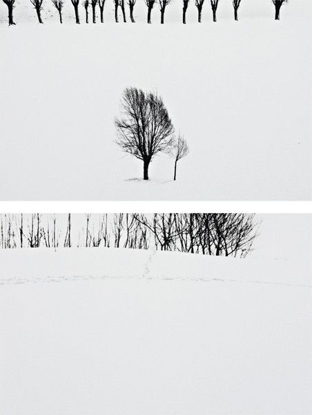 ABBAS KIAROSTAMI, Untitled: Untitled Two works: digital photoprint on card. Each print: 18 × 29 cm (7 1/8 × 11 3/8 in). Signed in pencil lower left. PROVENANCE Silk Road Gallery, Tehran%