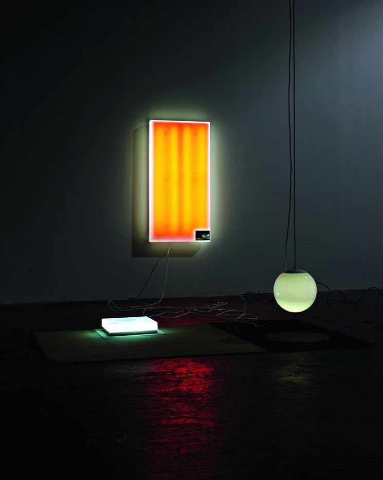 DIKE BLAIR, The Melting Snow is Odorless, 1997-199: The Melting Snow is Odorless, 1997-1998 Fluorescent and incandescentlights, Duratrans ®, color photograph, carpeting and electrical fittings. Installation dimensions variable; 124 x 83 1/4 x 141 in.