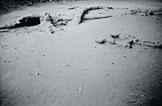 ANRI SALA, Untitled, 2005: Untitled, 2005 Black and white photograph on Barryt paper. 76 x 107 cm (29 7/8 x 42 1/8 in). Signed, dated 'Anri Sala 2005' and numbered of 5 on the reverse. This work is from an edition of 5. PROVENA