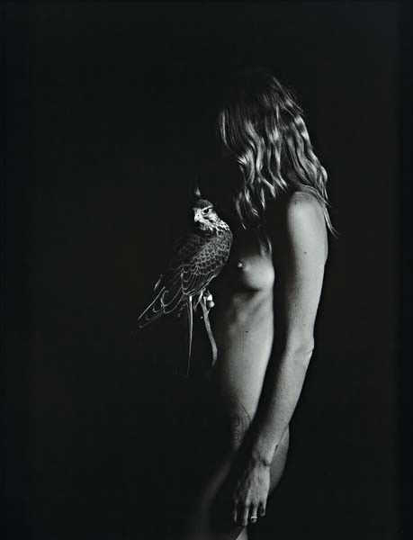 MAX SNOW, "Untitled (Falcon)", 2010: Untitled (Falcon)", 2010 Gelatin silver print. 39 1/2 x 30 1/2 in. (100.3 x 77.5 cm) Number three from the edition of three plus two artist's proofs. Signed and numbered 3/3 in ink on the reverse of t