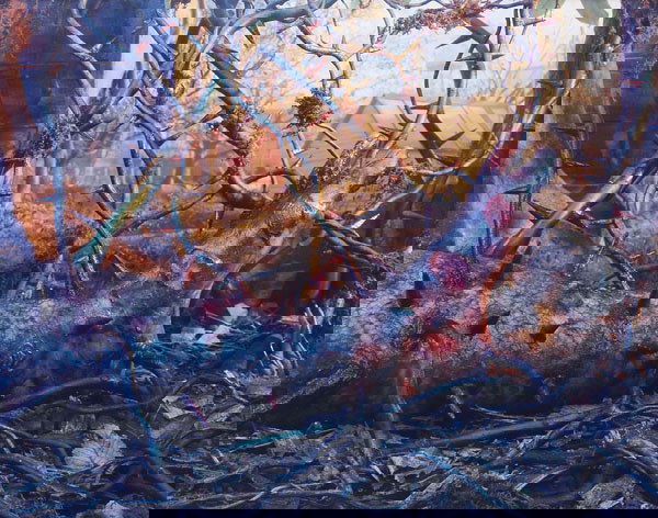 GREGORY CREWDSON b. 1962 UNTITLED (NATURAL WON: GREGORYCREWDSONb. 1962UNTITLED (NATURAL WONDERS SERIES).C-print mounted on foamcore.Paper: 37 x 46