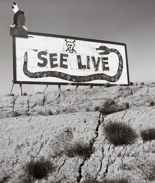 STEVE FITCH American, b. 1949 Billboard Highwa: STEVEFITCHAmerican, b. 1949Billboard Highway I-40 Near Albuquerque, N.M., 1972.Gelatin silver print.