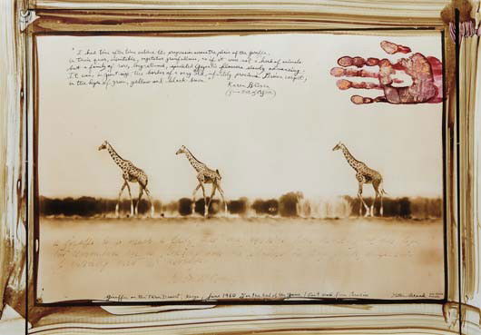 PETER BEARD, Giraffes on the Taru Desert, Kenya, J: Giraffes on the Taru Desert, Kenya, June, 1960. Gelatin silver print with ink, blood and paint, printed later. 24 3/4 x 35 1/2 in. (62.9 x 90.2 cm) Signed, titled, dated and extensively annotated in i