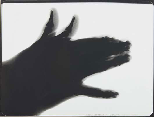 VIK MUNIZ, Shadowgram (Dog), 1995: Shadowgram (Dog), 1995. Gelatin silver print. 13 3/4 x 18 5/8 in. (34.9 x 47.3 cm) Signed, titled, dated and numbered AP 2/2 in pencil in the margin. One from an edition of5 plus 2 artist's proofs. PR