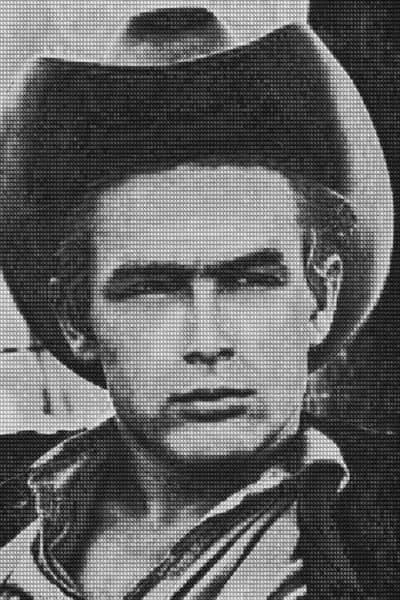 ALEX GUOFENG CAO, JamesDean vs Elvis, 2009: JamesDean vs Elvis, 2009. Color coupler print, Diasec mounted. 108 x 72 in. (274.3 x 182.9 cm) Signed, dated, numbered 5/5 in ink, printed title and date on a Certificate of Authenticity label affixed