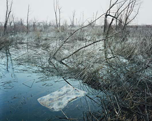 Alec Soth Prices - 225 Auction Price Results - Page 9
