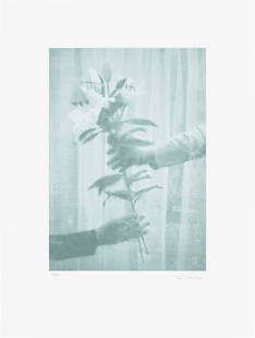 Paul Winstanley: Lilies, from The Help Portfolio 2020 Screenprint in colours, on Somerset paper, with full margins. I. 48.2 x 34 cm (18 7/8 x 13 3/8 in.) S. 73.1 x 55 cm (28 3/4 x 21 5/8 in.) Signed and numbered