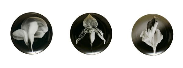 ROBERT MAPPLETHORPE (1946-1989) Three Works: F: ROBERTMAPPLETHORPE(1946-1989)Three Works: Flower 1986, Orchid 1984, Color Lilly 1984.Projection on china.