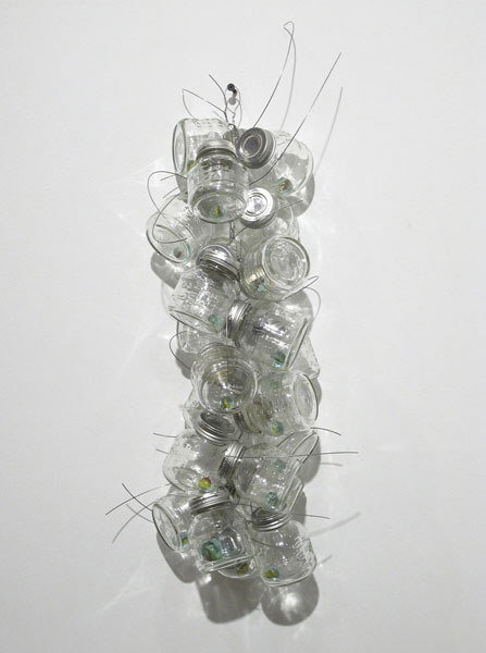 TONY FEHER b. 1956 Viscera #1, 2005 Glass jars