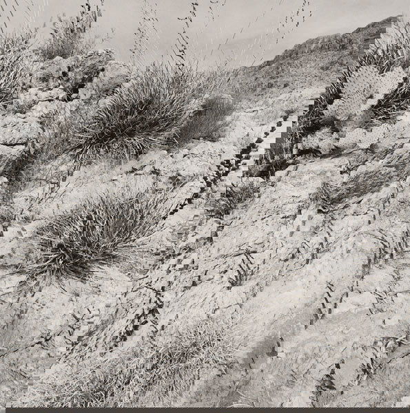 LEE FRIEDLANDER b. 1934 Big Bend, 1997 Gelati: LEE FRIEDLANDERb. 1934Big Bend, 1997Gelatin silver print.20 x 16 in. (50.8 x 40.6 cm).