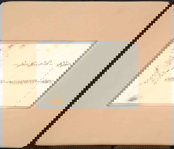 MATTHEW BARNEY b. 1967 OTTOshaft (Manual) F, 1: MATTHEWBARNEYb. 1967OTTOshaft (Manual) F, 1992Graphite, wax and silicone rubber on paper in prostheic plastic frame.