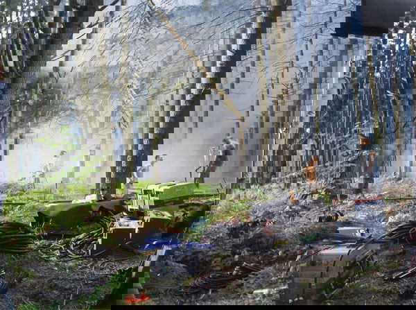 GREGORY CREWDSON b. 1962 Untitled (Forest Gath: GREGORYCREWDSONb. 1962Untitled (Forest Gathering), 2003C-print.12 x 16 in. (30.5 x 40.6 cm).