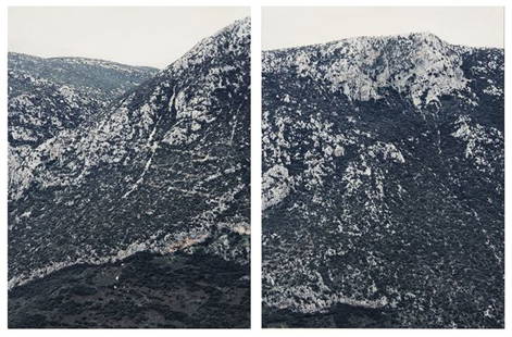 AXEL HUTTE b. 1951 Delphi, 1995 Diptych; two: AXELHUTTEb. 1951Delphi, 1995Diptych; two color photographs.Framed dimensions 47 ¼ x 38 ½ in. (120