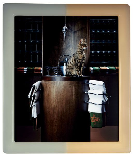 MATTHEW BARNEY b. 1967 Cremaster 3: Plumblin: MATTHEWBARNEYCremaster 3: Plumbline, 2001C-print in self-lubricating acrylic frame.28 x 24 in. (71