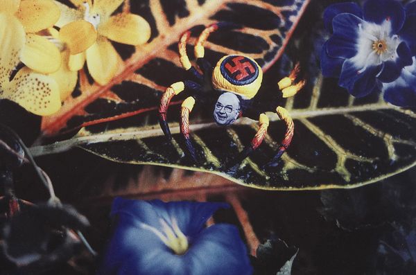 DAVID WOJNAROWICZ 1954-1992 Sub-Species Helms: DAVIDWOJNAROWICZ1954-1992Sub-Species Helms Senatorius, 1990C-print.13 x 19 ½ in. (33 x 49.5 cm).</