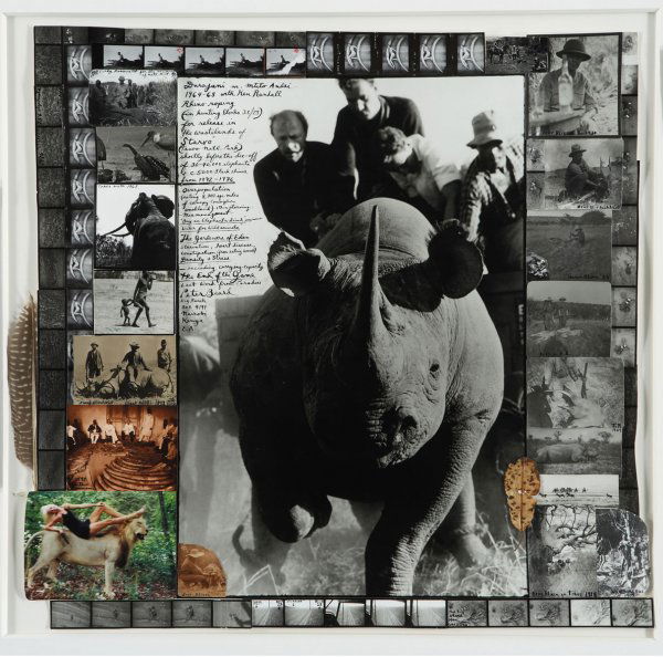 PETER BEARD b. 1938 Roping Rhino at Djarajani,: PETERBEARDb. 1938Roping Rhino at Djarajani, 1965Gelatin silver and color coupler collage with ink, leaf and feather, printed