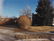 177: STEPHEN SHORE b. 1947 North Block Avenue, Boze