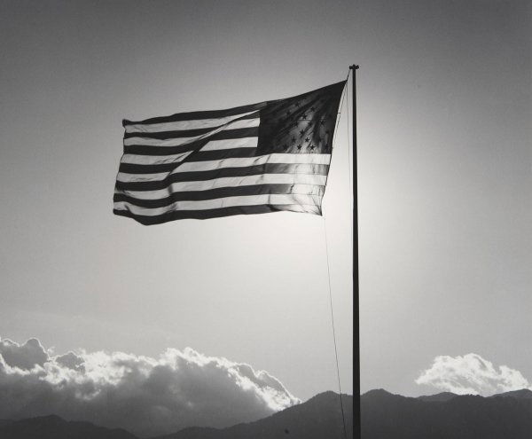 ROBERT MAPPLETHORPE 1946-1989 Flag, 1987 Gela: ROBERTMAPPLETHORPE1946-1989Flag, 1987Gelatin silver print.19 ⅛ x 23 in. (48.5 x 58.4 cm).</