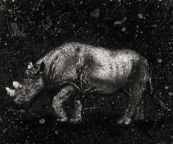 VIK MUNIZ b. 1961 Fossil from Pictures of Soil: VIKMUNIZb. 1961Fossil from Pictures of Soil, 1999Gelatin silver print.19 x 22 ¾ in. (48.3 x