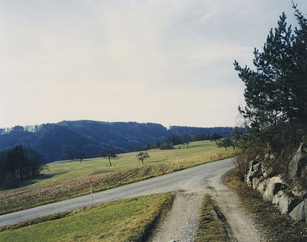 THOMAS STRUTH b. 1954 Landscape, Wintherthur,: THOMASSTRUTHb. 1954Landscape, Wintherthur, 1993C-print.36 x 45 in. (91.4 x 114.3 cm).