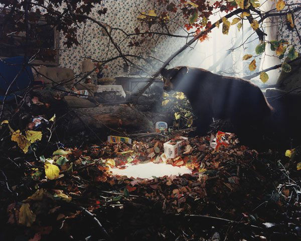 GREGORY CREWDSON b. 1962 Untitled (Bear with M: GREGORYCREWDSONb. 1962Untitled (Bear with Milk), 1998C-print.50 x 60 ¾ in. (127 x 154.3 cm).