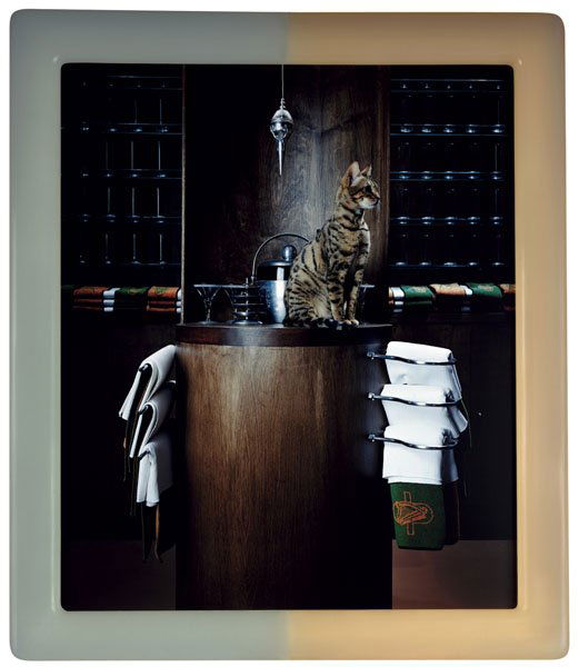 MATTHEW BARNEY b. 1967 Cremaster 3: Plumb Line: MATTHEWBARNEYb. 1967Cremaster 3: Plumb Line, 2001C-print in artist's self-lubricating acrylic frame.