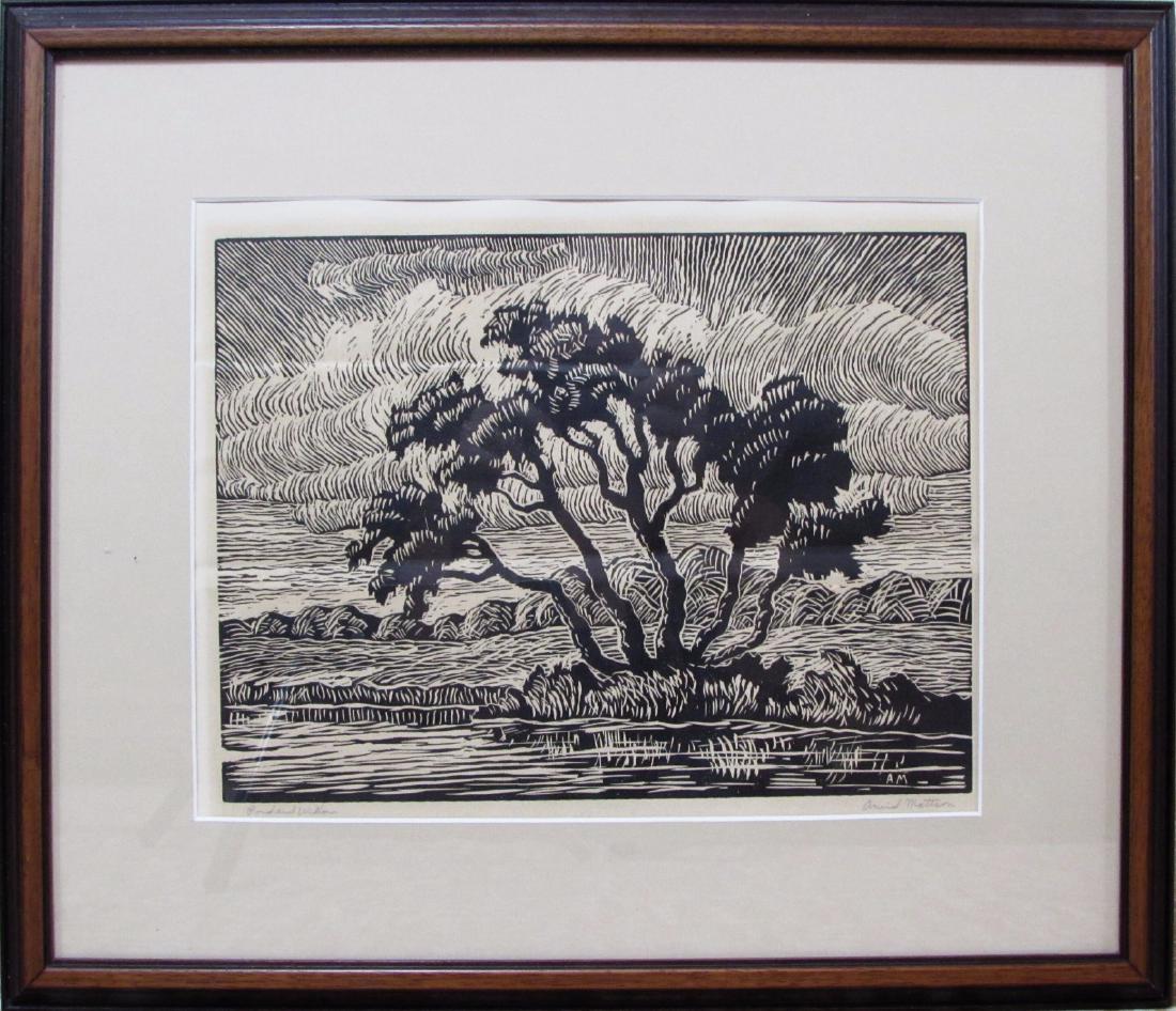 Pond and Willows (1 of 4)