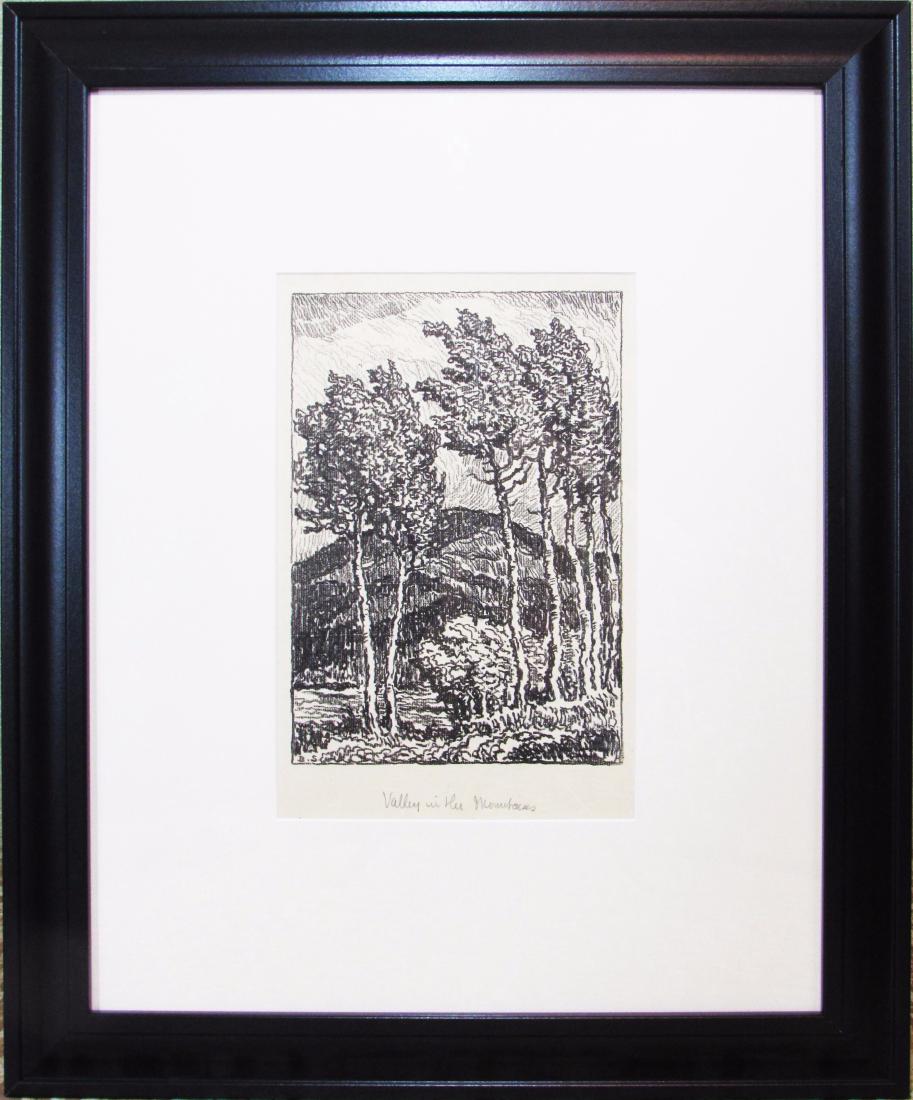 Valley in the Mountains (1 of 4)