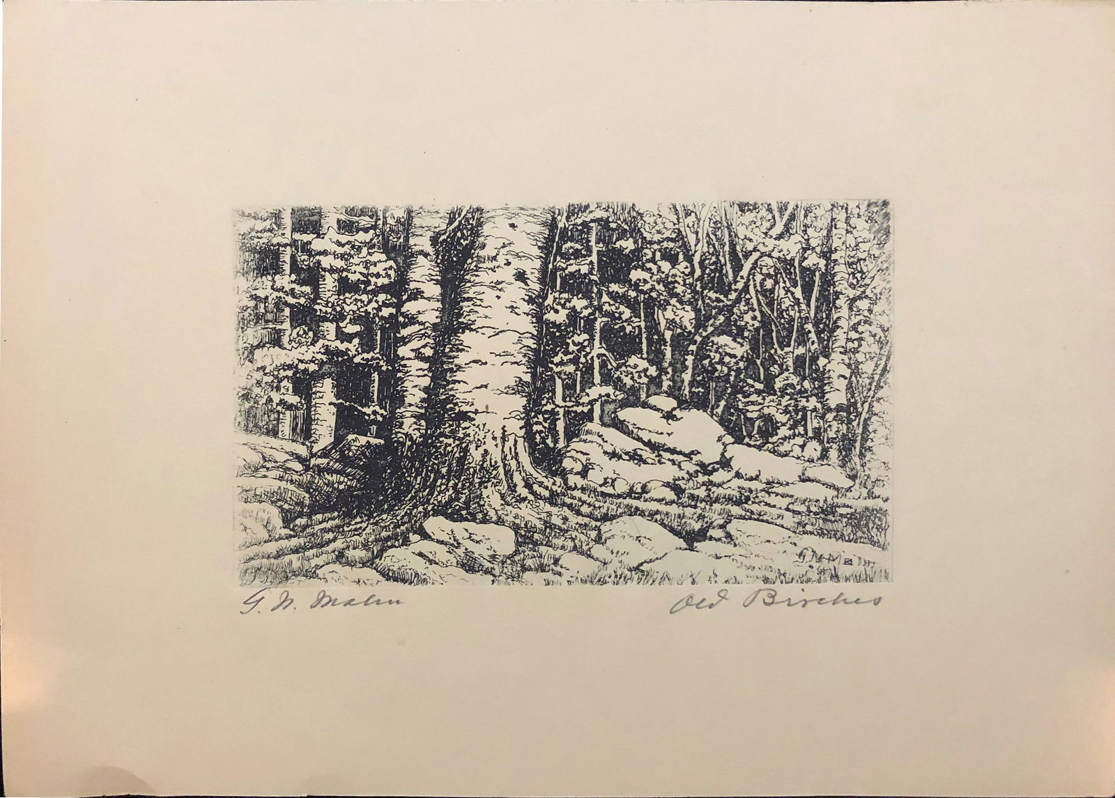 Malm, G.N., etching, 3x5, good: "Old Birches", signed "G.N.Malm" in lower left