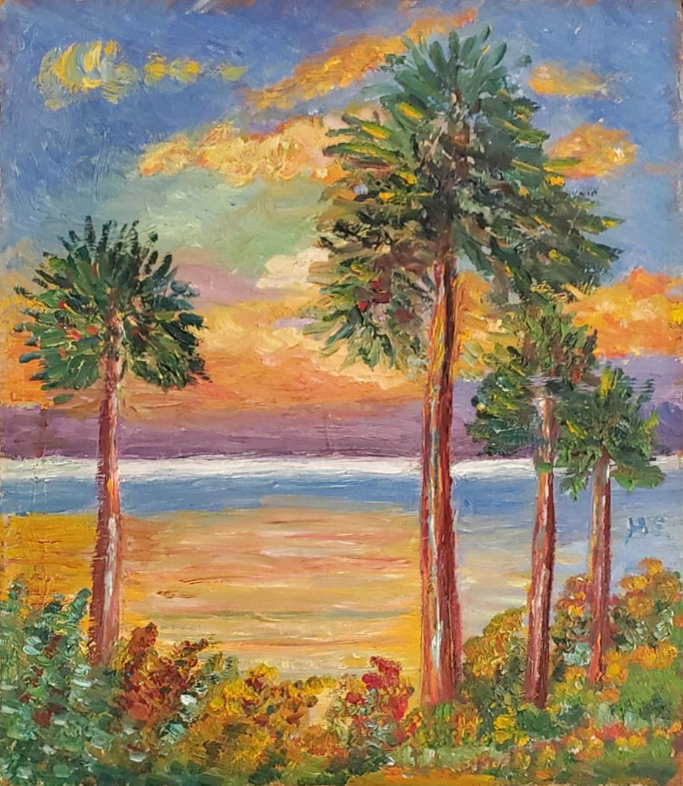 Tropical Sunset -  Swensson, Hannah (1 of 3)