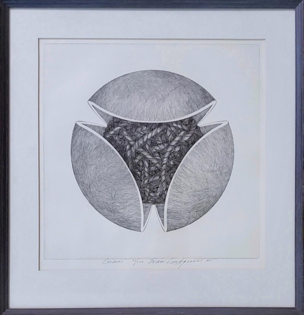 Cosmos -  Linquist, Evan (1 of 4)