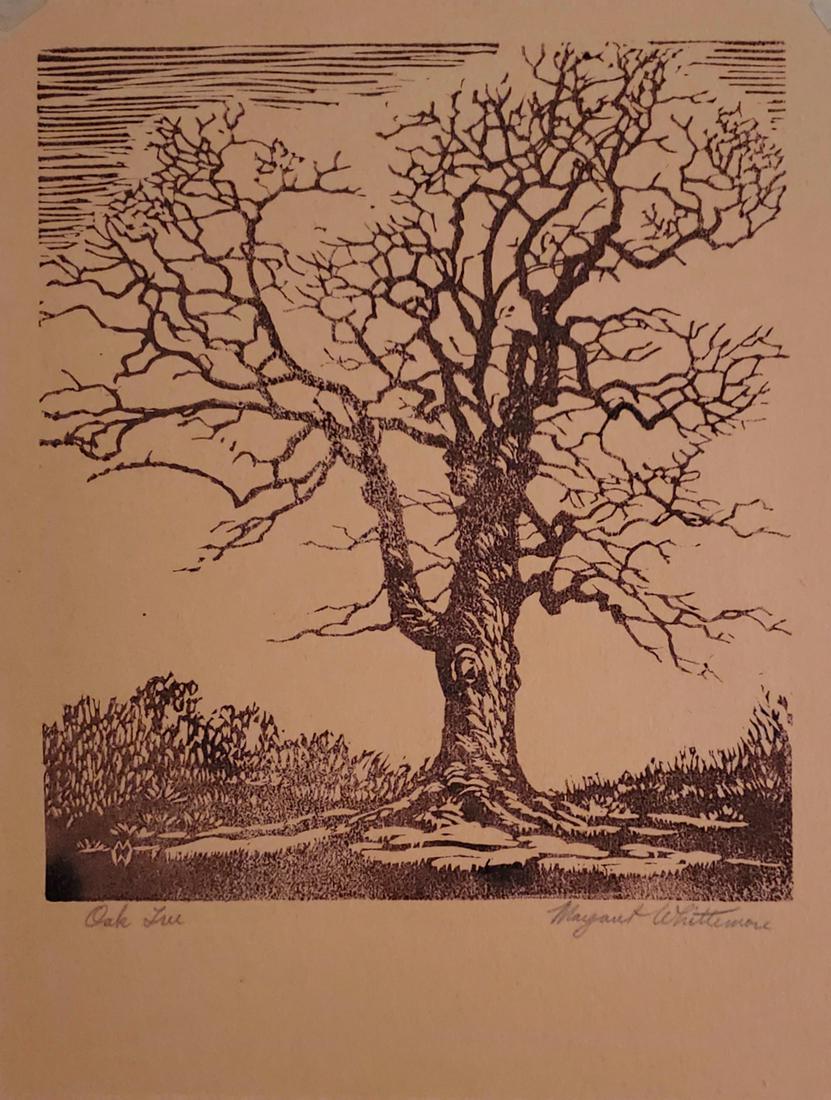 Oak Tree - Whittemore, Margaret: Whittemore, Margaret (1897-1983), reduction, signature: Margaret Whittimore, Oak Tree, image dimensions:8 x 9.5, total dimensions:, weight:lb Graphic artist, Margaret Whittemore was born into a family