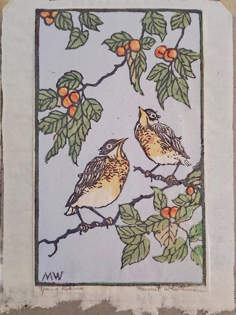 Young Robins - Whittemore, Margaret: Whittemore, Margaret (1897-1983), reduction, signature: Margaret Whittimore, Young Robins, image dimensions:5 x 8.25, total dimensions:, weight:lb Graphic artist, Margaret Whittemore was born into a f