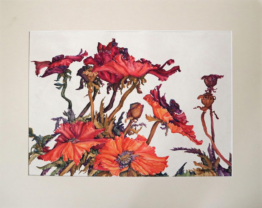 Delores Runbeck, watercolor,: Delores Runbeck, watercolor, Poppies, signed, condition: good, image size: 15x20.25 total dimensions: 22x28 weight in lbs: 1