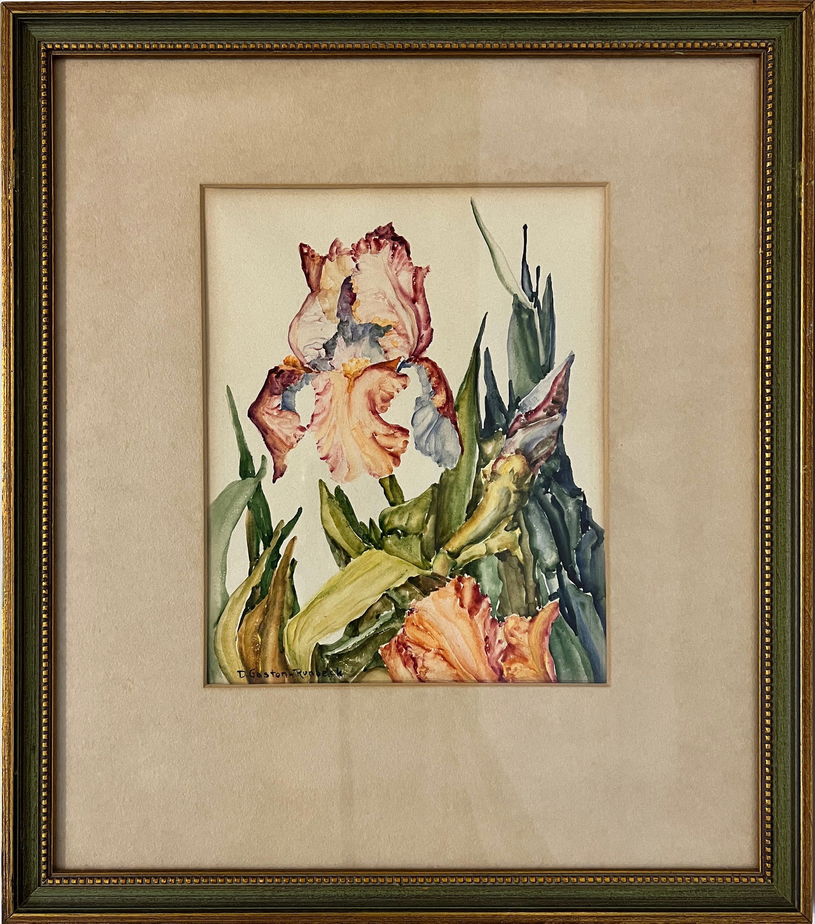 Runbeck, Dolores Gaston, untitled iris, watercolor (1 of 4)