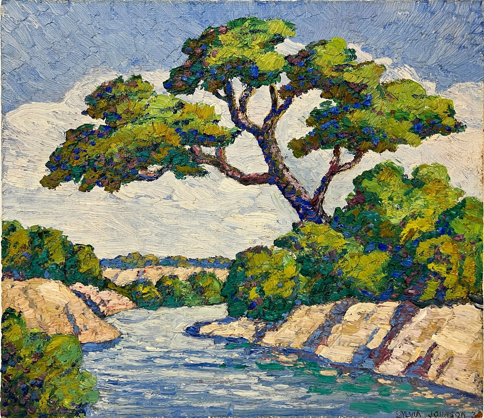 Johnson, Sylvia, untitled Smoky Hill River, oil on board (1 of 4)
