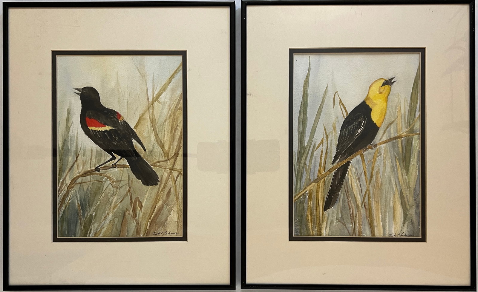 Lehman, Viola (1928-2010) 2 untitled blackbirds, watercolor: Vi Lehman (1928-2010) 2 untitled blackbirds watercolor, signed in lower right, good condition, image sizes9.5 x 6.5 inches. Viola ?Vi? C. Lehman, 81, of Greeley, CO died June 25, 2010 at Life Care Cen