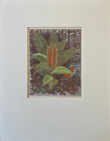 Havens, James D (1900-1960) Cinnamon Fern and Veery, 1948 color wood cut