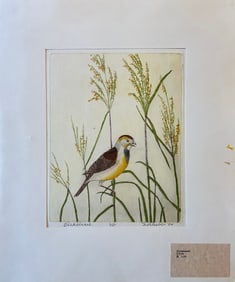Bebb, Maurice (1891-1986) Dickcissel, 1982, 4-plate color aquatint and soft ground etching