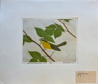 Bebb, Maurice (1891-1986) Yellow-breasted Chat, 3-plate color aquatint and soft ground etching