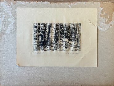 Malm, G.N (1869-1928) Old Birches, etching