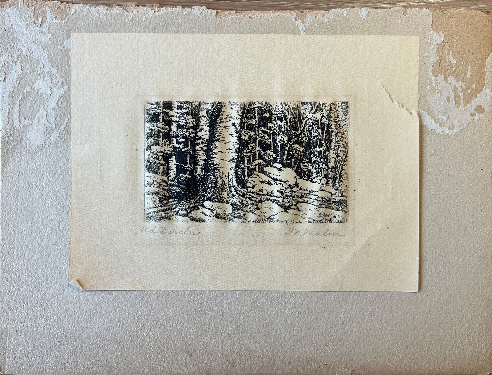 Malm, G.N (1869-1928) Old Birches, etching: Malm, G.N (1869-1928) Old Birches, etching, pencil signed in lower right, fair condition, some toning, glued to mat board backing, tear in upper right marginm, no mat or frame, image size: 3 x 5 inch.
