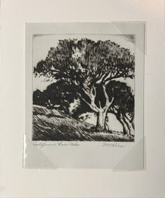 Rice, William S. (1873-1963) "California Live Oaks" etching