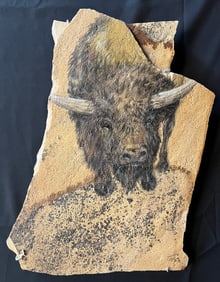 Saez, Felix, Bison, 1998 pigment wash on stone