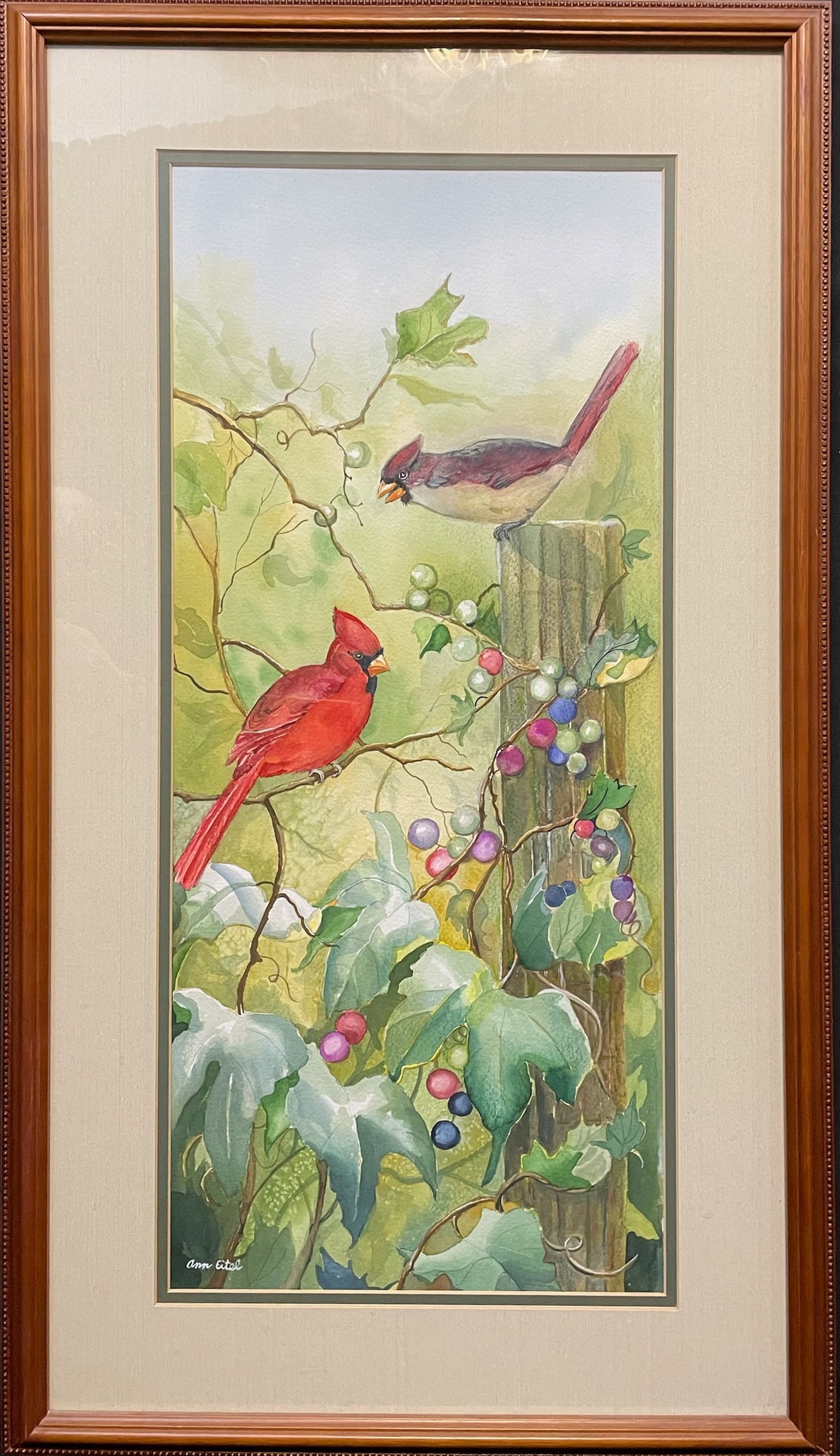 Eitel, Ann (1930-2017) watercolor, untitled Cardinals and grapes (1 of 4)