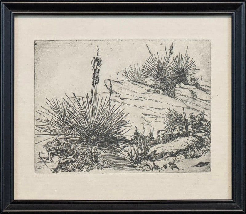 Hattan, Clara (1901-1991) 1937 etching, Yucca (1 of 3)
