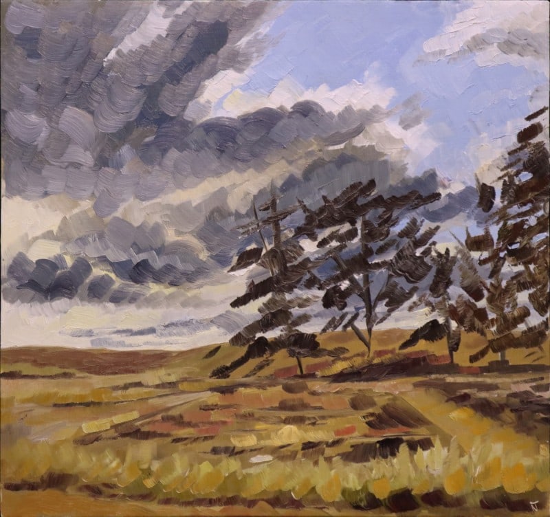 Thibodeau, Nicole, 2016 oil on board, Fast Clouds, Warm Sun (1 of 3)